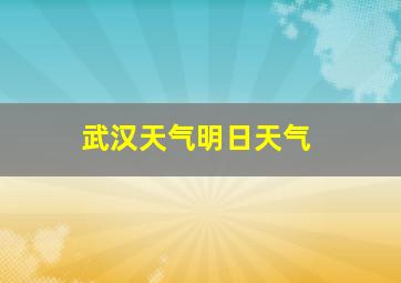 武汉天气明日天气