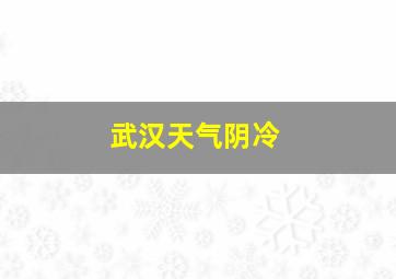 武汉天气阴冷