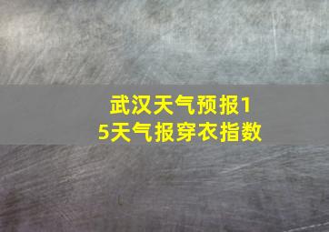 武汉天气预报15天气报穿衣指数