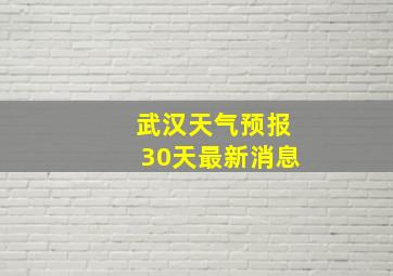 武汉天气预报30天最新消息