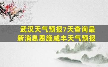 武汉天气预报7天查询最新消息恩施咸丰天气预报