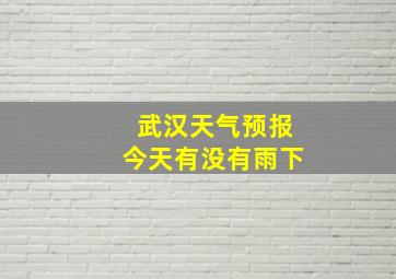 武汉天气预报今天有没有雨下