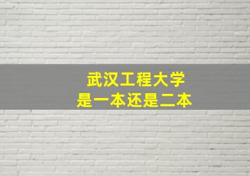 武汉工程大学是一本还是二本