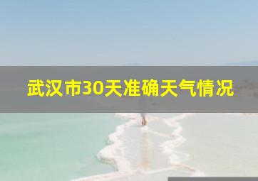 武汉市30天准确天气情况