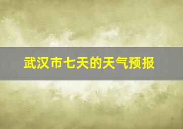 武汉市七天的天气预报