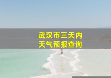 武汉市三天内天气预报查询