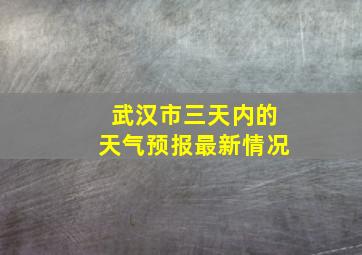 武汉市三天内的天气预报最新情况