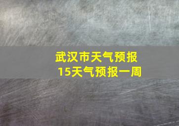 武汉市天气预报15天气预报一周