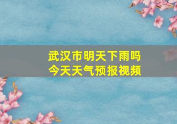 武汉市明天下雨吗今天天气预报视频