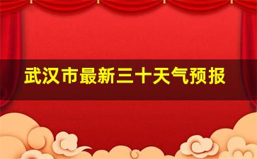 武汉市最新三十天气预报