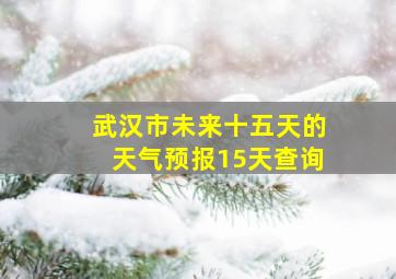 武汉市未来十五天的天气预报15天查询