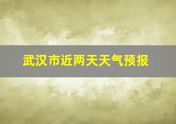 武汉市近两天天气预报