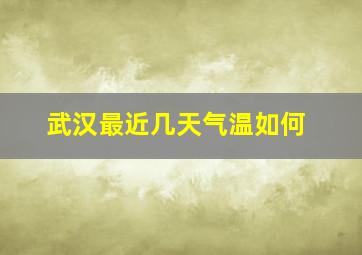 武汉最近几天气温如何