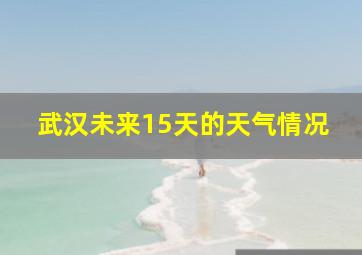 武汉未来15天的天气情况