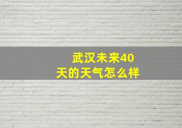 武汉未来40天的天气怎么样