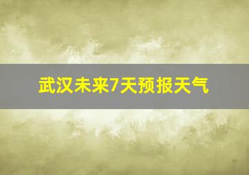 武汉未来7天预报天气