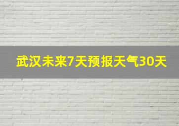 武汉未来7天预报天气30天