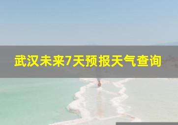 武汉未来7天预报天气查询