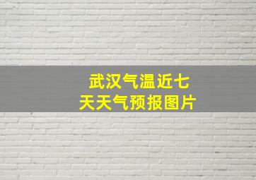 武汉气温近七天天气预报图片