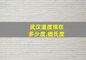 武汉温度现在多少度,摄氏度