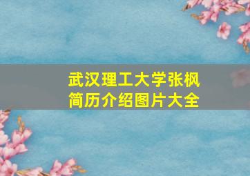 武汉理工大学张枫简历介绍图片大全