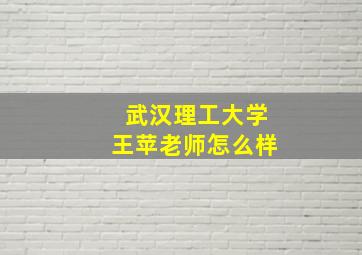 武汉理工大学王苹老师怎么样