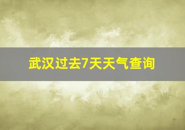 武汉过去7天天气查询