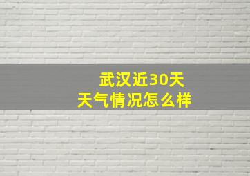 武汉近30天天气情况怎么样