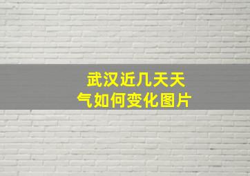 武汉近几天天气如何变化图片