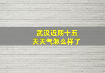 武汉近期十五天天气怎么样了