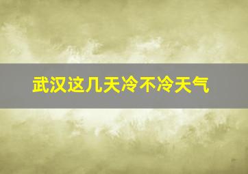 武汉这几天冷不冷天气