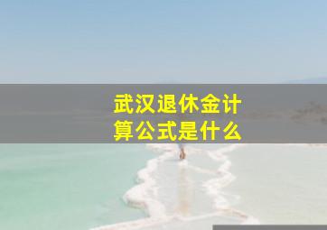 武汉退休金计算公式是什么