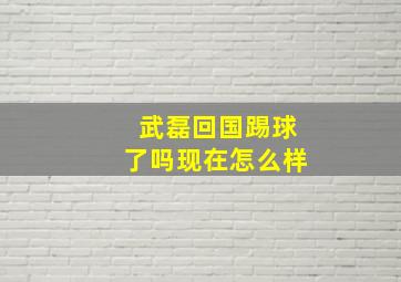 武磊回国踢球了吗现在怎么样