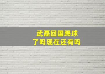 武磊回国踢球了吗现在还有吗