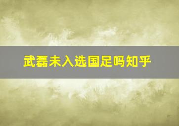 武磊未入选国足吗知乎