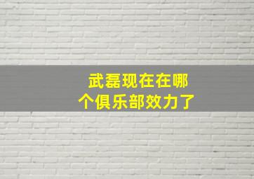 武磊现在在哪个俱乐部效力了