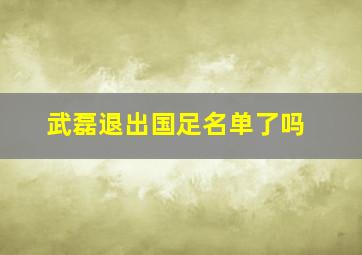 武磊退出国足名单了吗