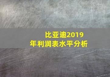 比亚迪2019年利润表水平分析