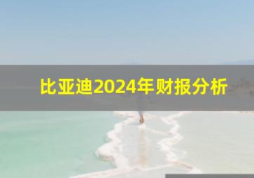 比亚迪2024年财报分析