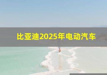 比亚迪2025年电动汽车