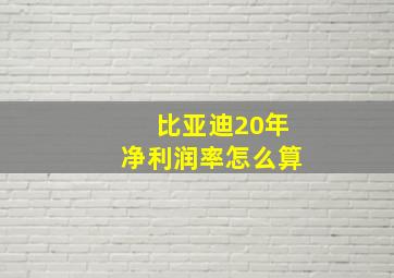 比亚迪20年净利润率怎么算