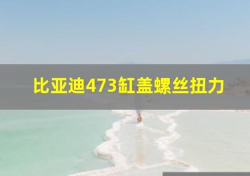 比亚迪473缸盖螺丝扭力