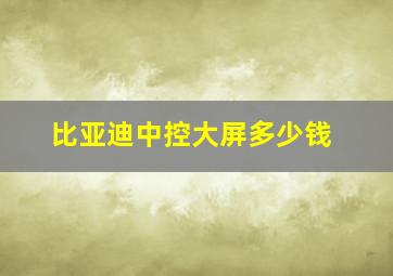 比亚迪中控大屏多少钱