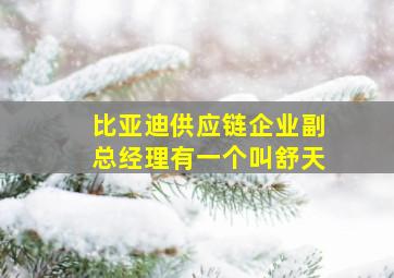 比亚迪供应链企业副总经理有一个叫舒天