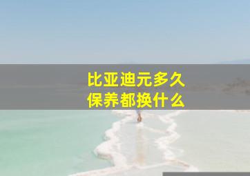 比亚迪元多久保养都换什么