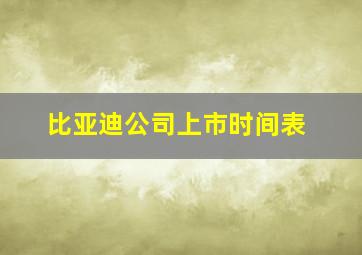 比亚迪公司上市时间表