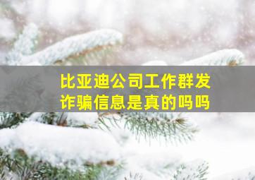 比亚迪公司工作群发诈骗信息是真的吗吗