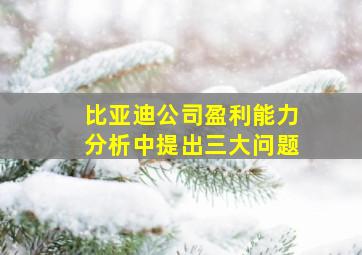 比亚迪公司盈利能力分析中提出三大问题