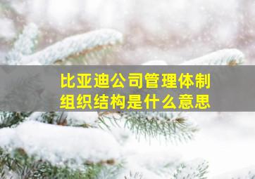 比亚迪公司管理体制组织结构是什么意思