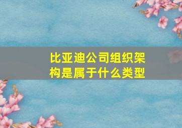 比亚迪公司组织架构是属于什么类型